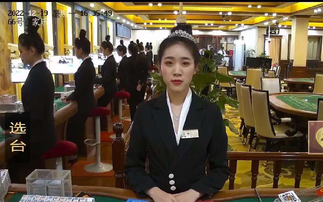 首页-新百胜公司网站